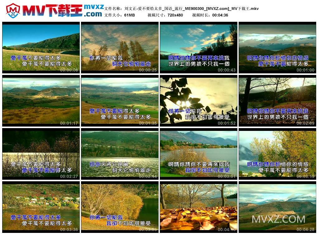 刘文正-爱不要给太多_国语_流行_ME900300